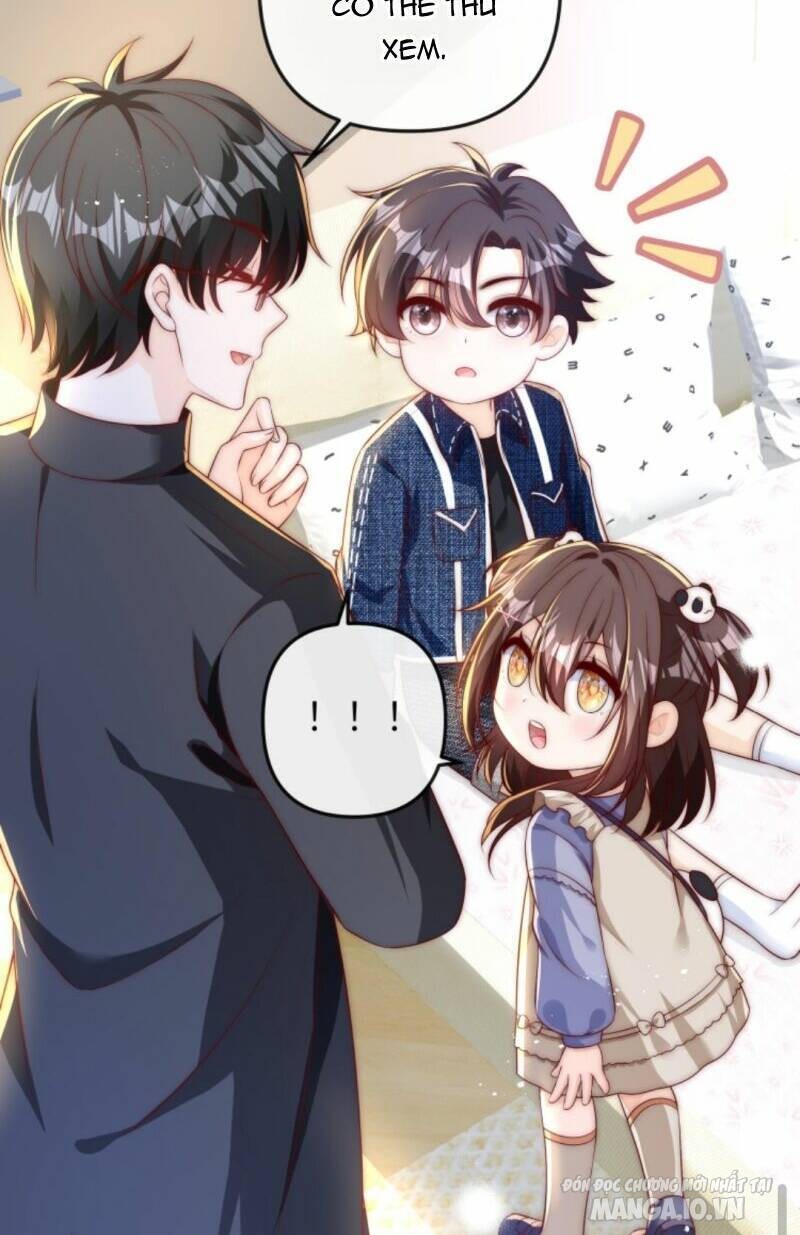 Sủng Bé Cá Koi 3 Tuổi Rưỡi Chapter 46 - Trang 2