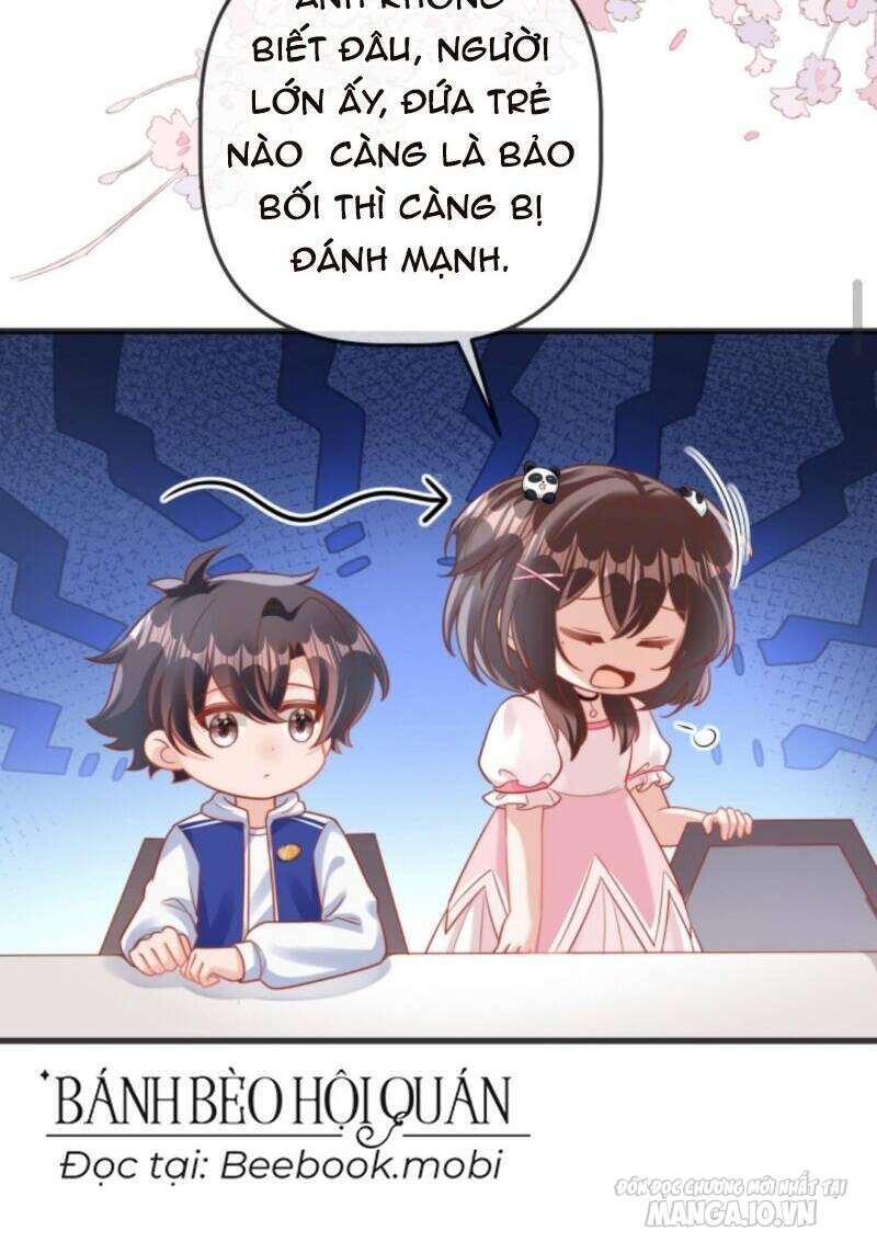 Sủng Bé Cá Koi 3 Tuổi Rưỡi Chapter 49 - Trang 2