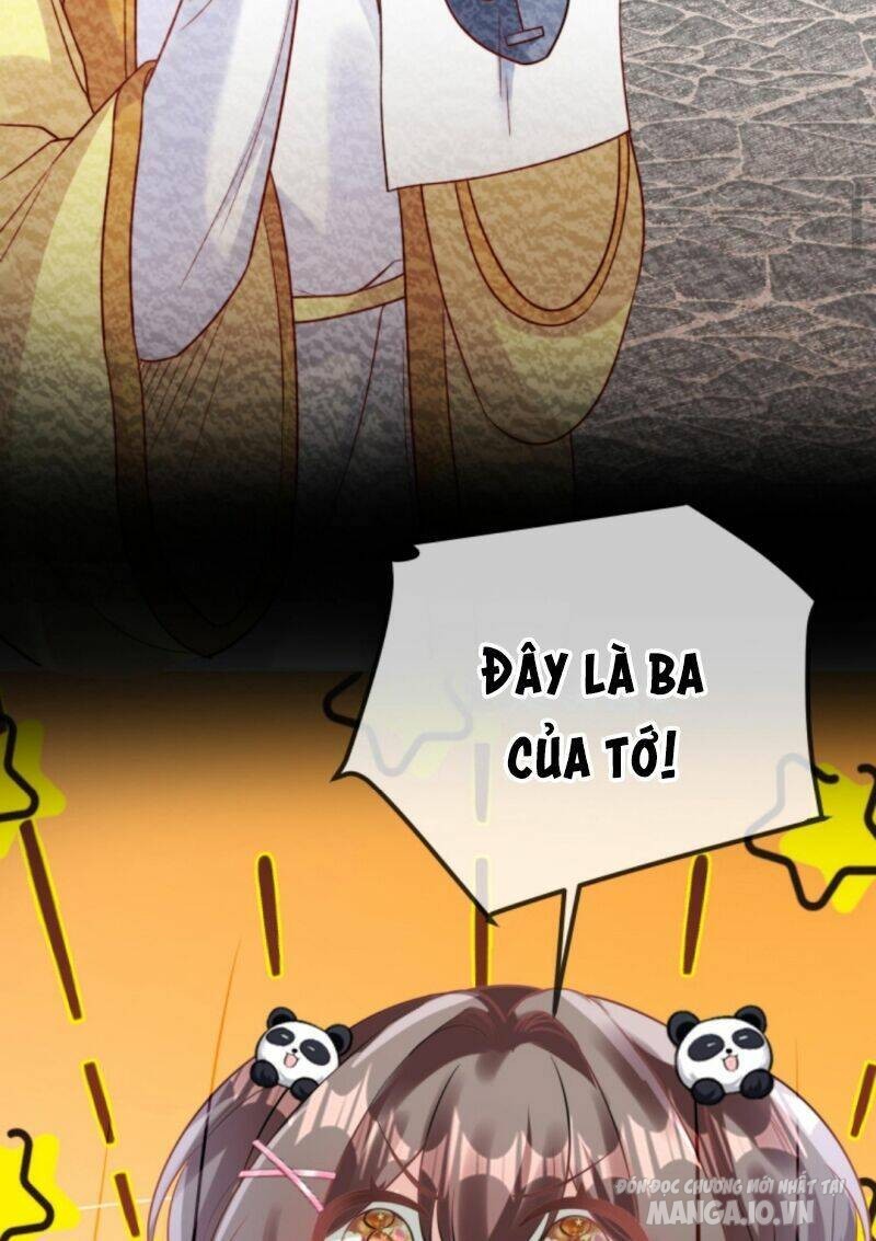 Sủng Bé Cá Koi 3 Tuổi Rưỡi Chapter 49 - Trang 2