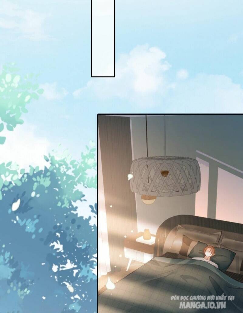 Sủng Bé Cá Koi 3 Tuổi Rưỡi Chapter 5 - Trang 2