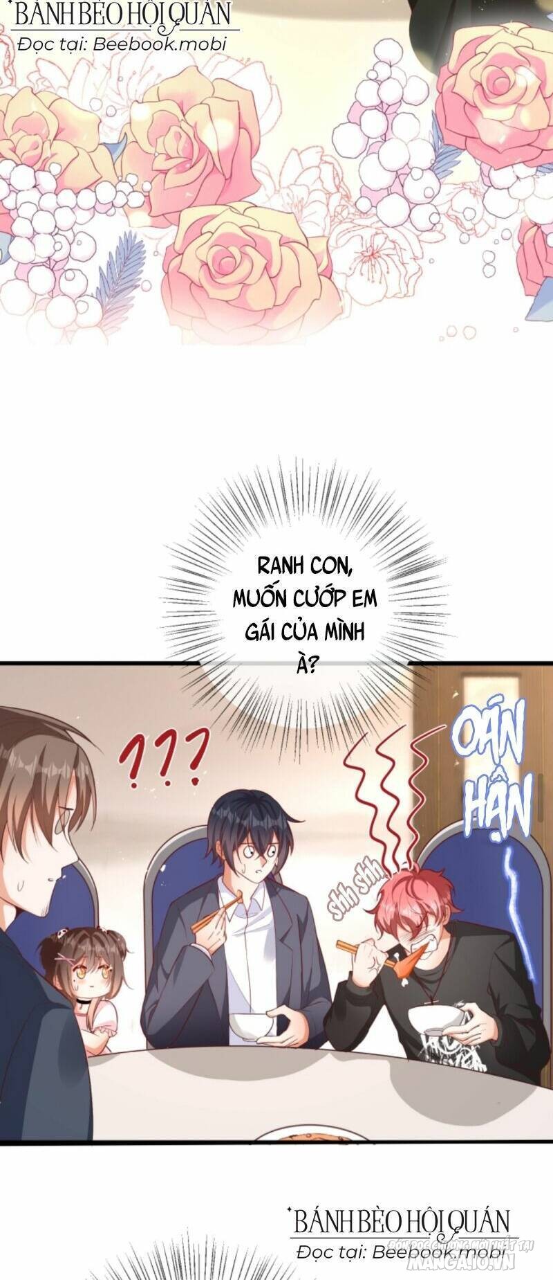 Sủng Bé Cá Koi 3 Tuổi Rưỡi Chapter 51 - Trang 2