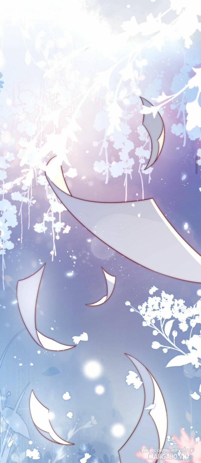 Sủng Bé Cá Koi 3 Tuổi Rưỡi Chapter 55 - Trang 2