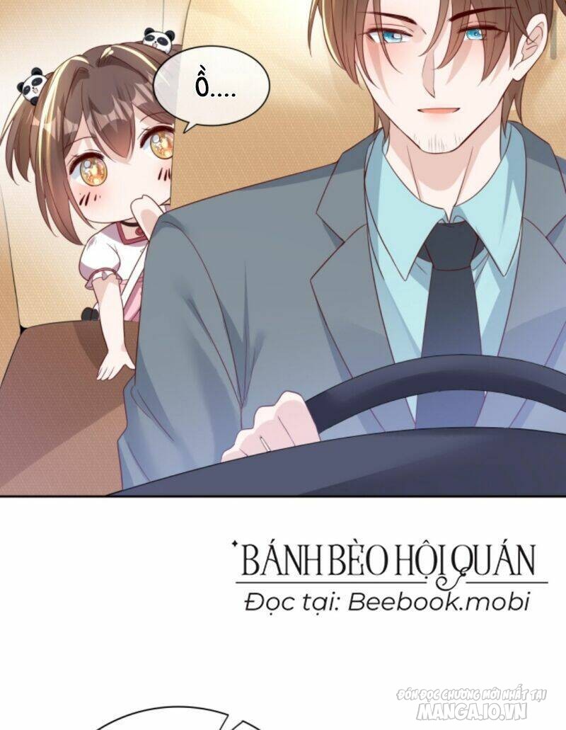 Sủng Bé Cá Koi 3 Tuổi Rưỡi Chapter 6 - Trang 2