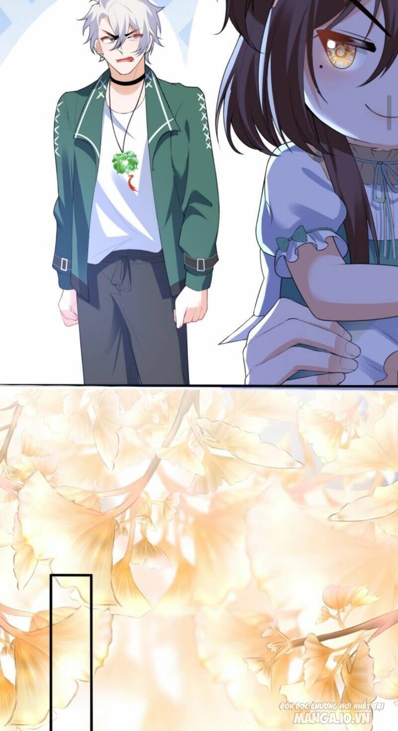 Sủng Bé Cá Koi 3 Tuổi Rưỡi Chapter 66 - Trang 2