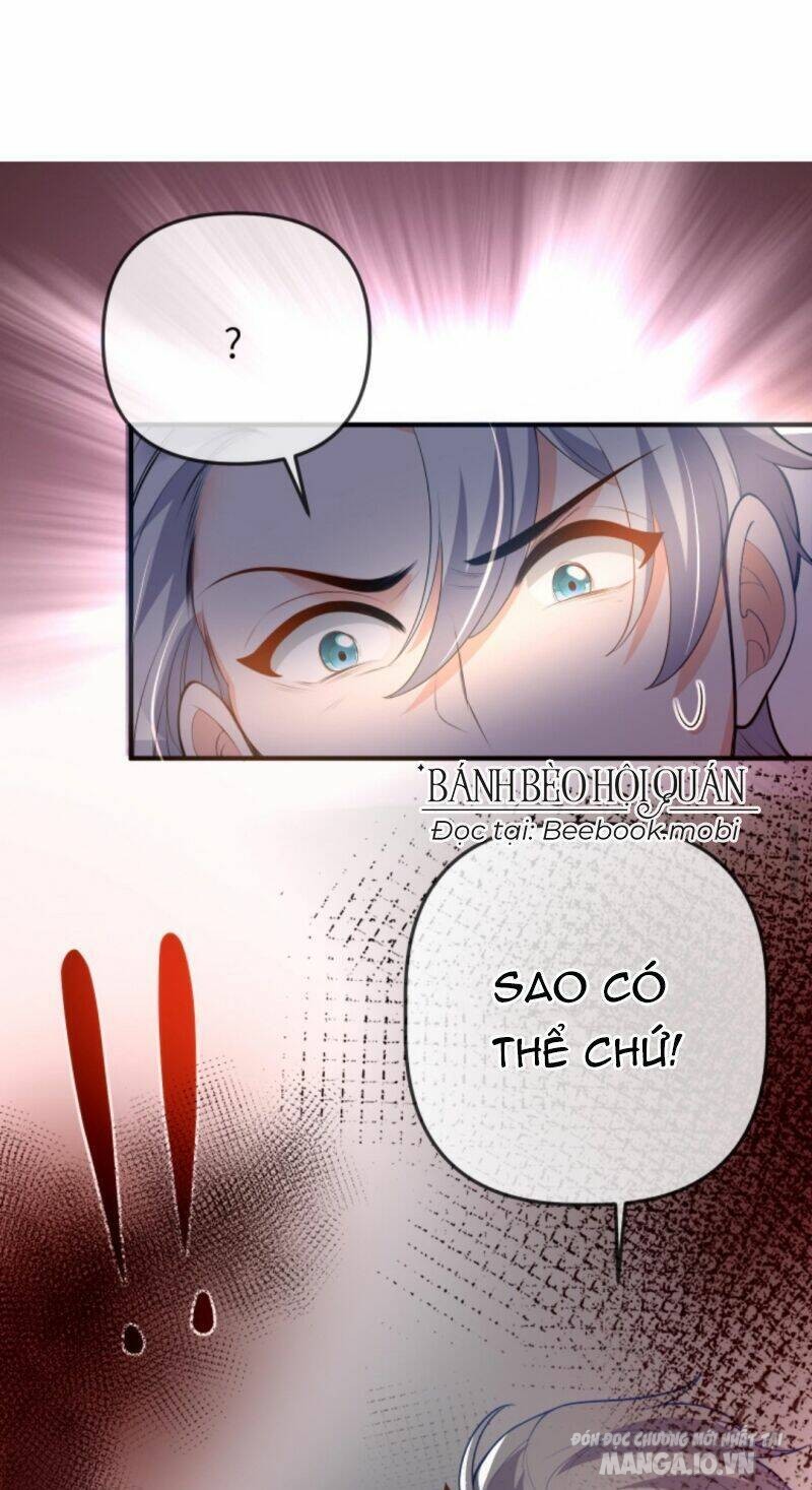 Sủng Bé Cá Koi 3 Tuổi Rưỡi Chapter 66 - Trang 2