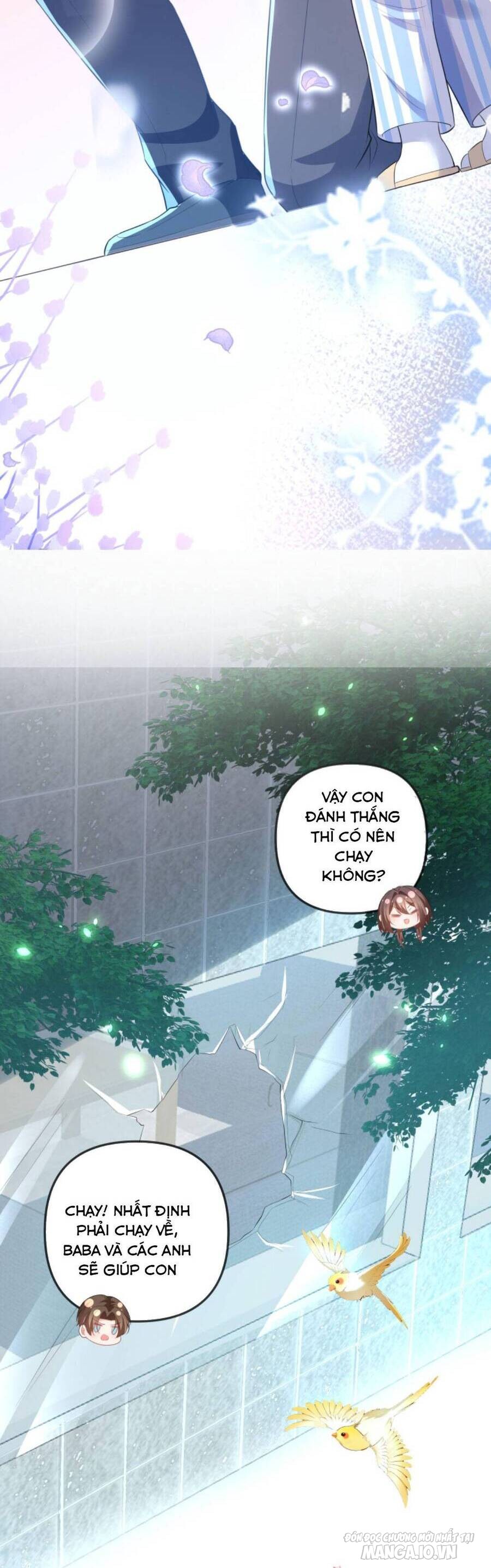 Sủng Bé Cá Koi 3 Tuổi Rưỡi Chapter 69 - Trang 2