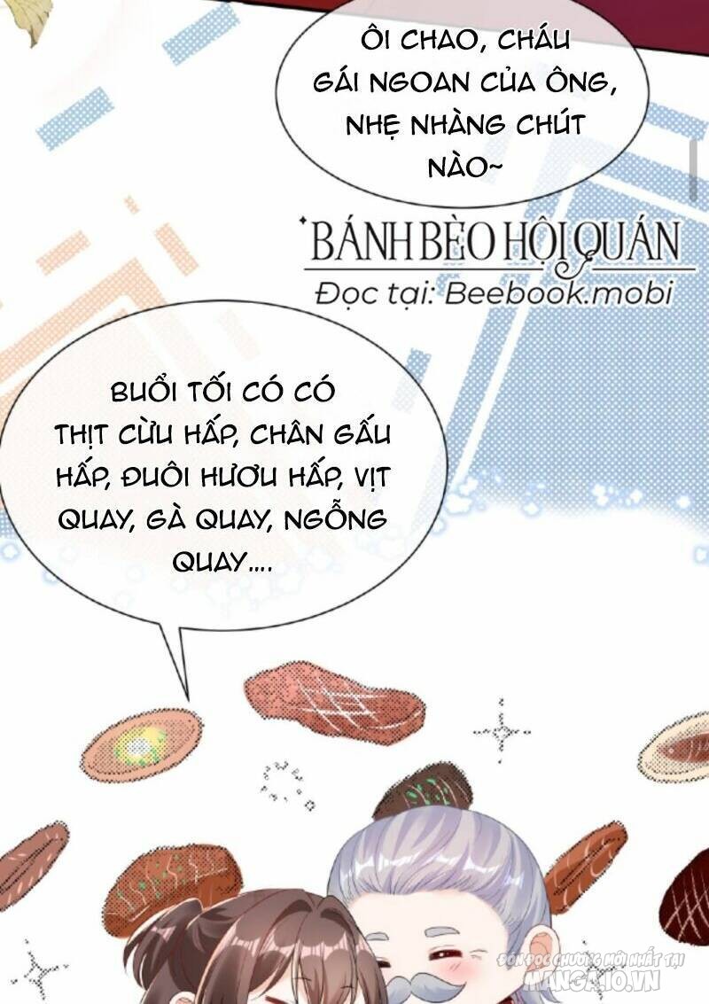 Sủng Bé Cá Koi 3 Tuổi Rưỡi Chapter 7 - Trang 2