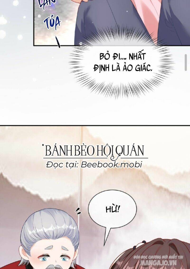 Sủng Bé Cá Koi 3 Tuổi Rưỡi Chapter 7 - Trang 2