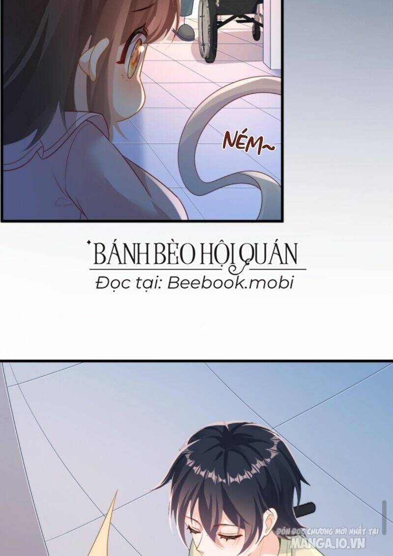 Sủng Bé Cá Koi 3 Tuổi Rưỡi Chapter 8 - Trang 2