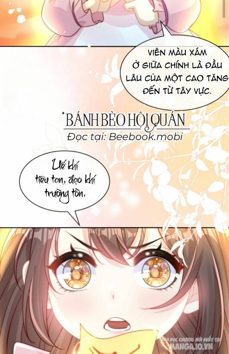 Sủng Bé Cá Koi 3 Tuổi Rưỡi Chapter 9 - Trang 2