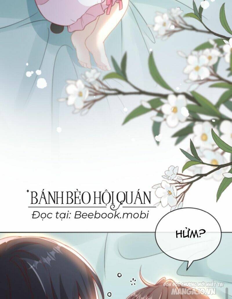 Sủng Bé Cá Koi 3 Tuổi Rưỡi Chapter 9 - Trang 2