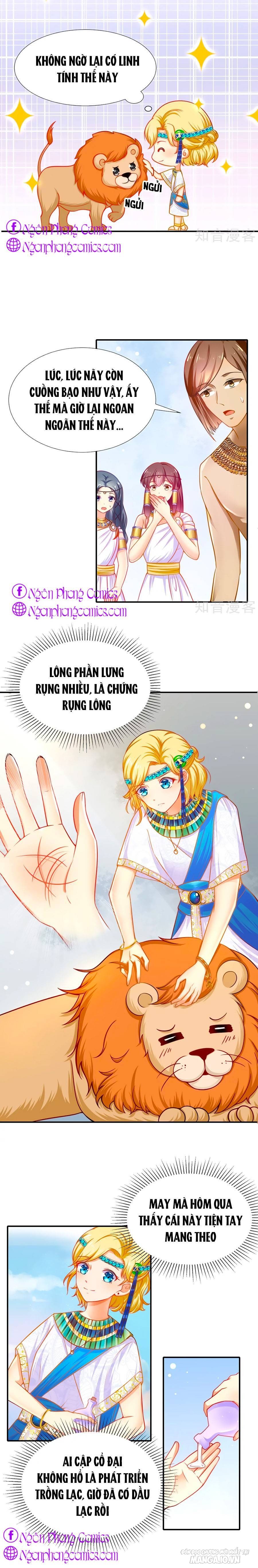 Sủng Hậu Của Vương Chapter 1 - Trang 2