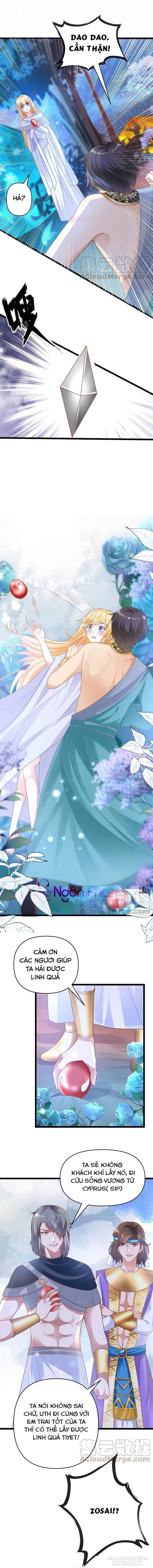 Sủng Hậu Của Vương Chapter 130 - Trang 2