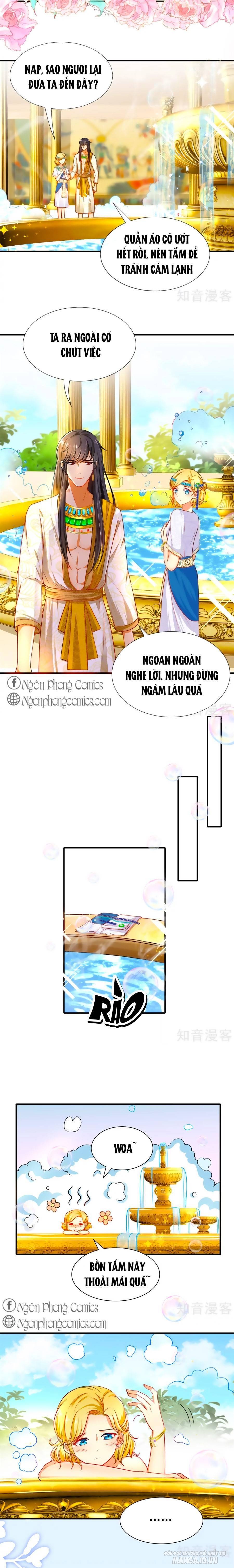 Sủng Hậu Của Vương Chapter 5 - Trang 2