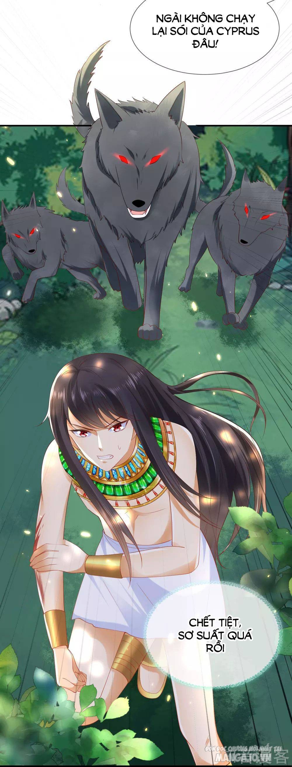 Sủng Hậu Của Vương Chapter 51 - Trang 2