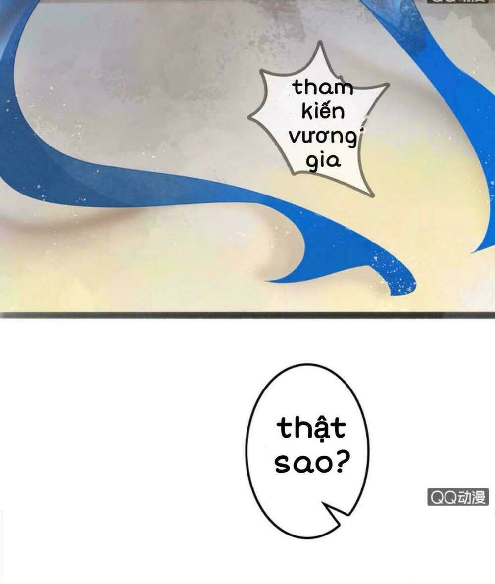 Sủng Phi Của Vương Chapter 10 - Trang 2