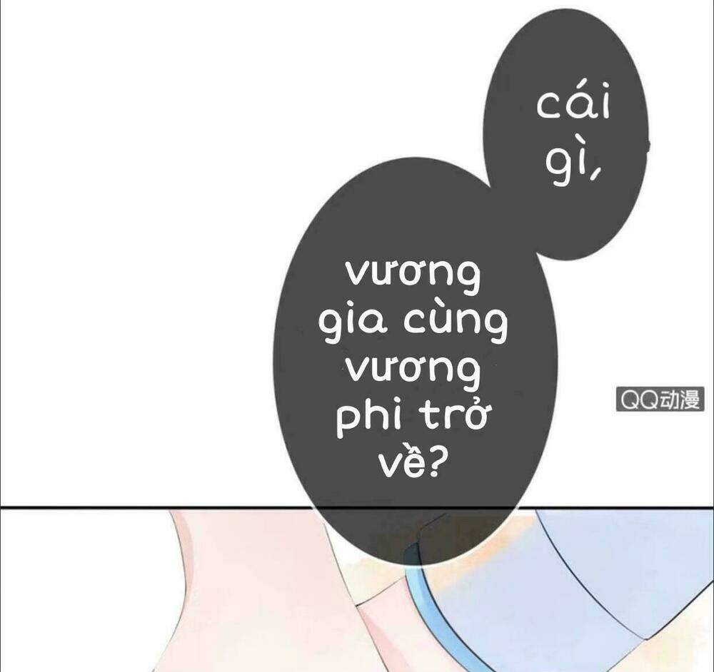 Sủng Phi Của Vương Chapter 10 - Trang 2