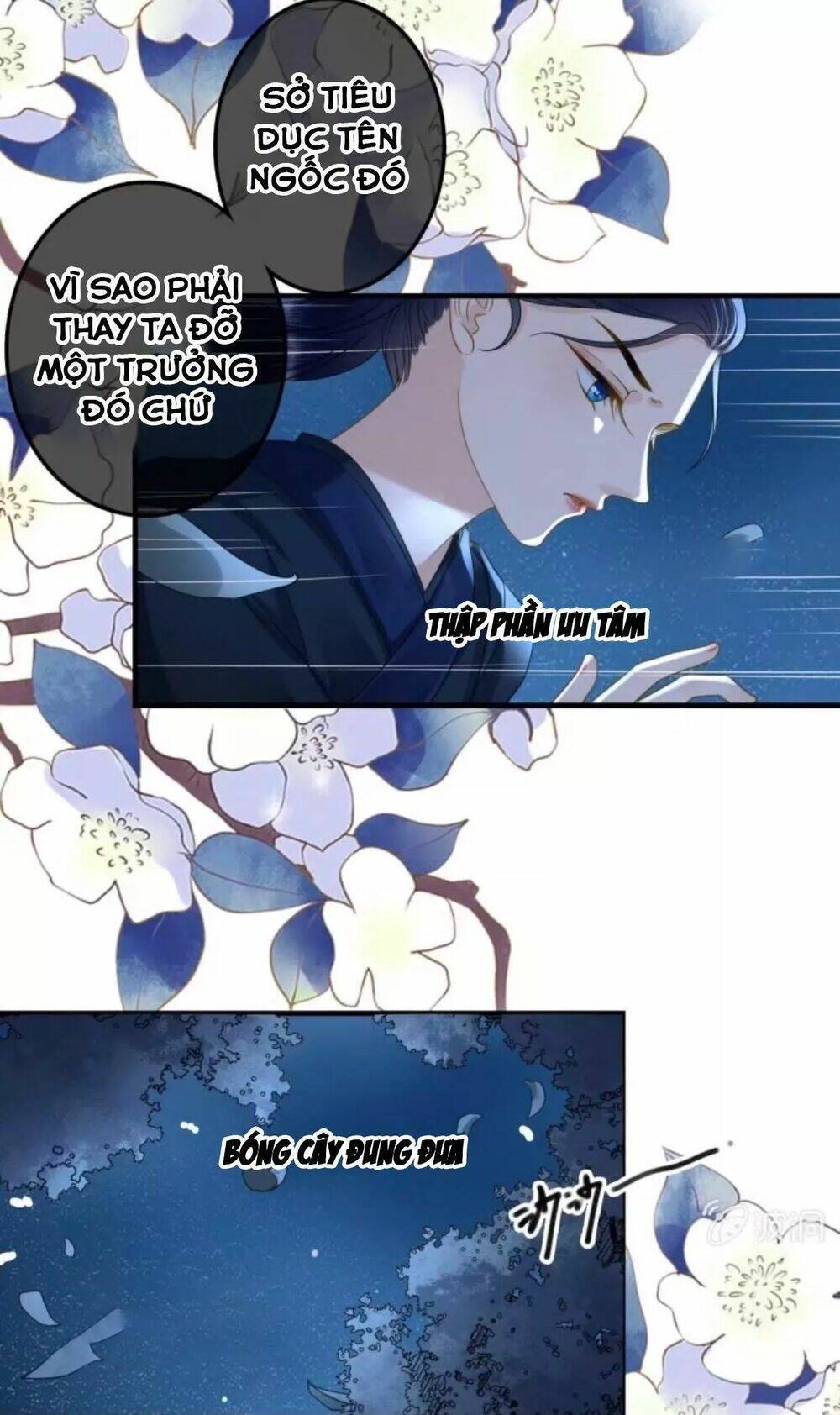 Sủng Phi Của Vương Chapter 108 - Trang 2