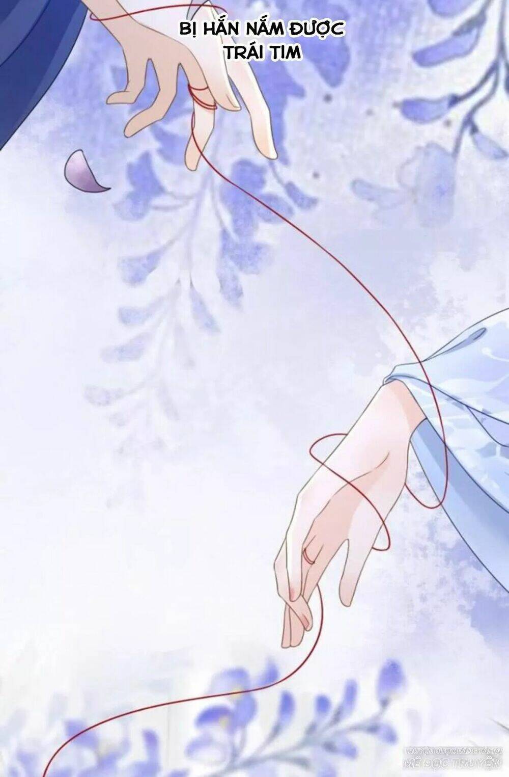 Sủng Phi Của Vương Chapter 118 - Trang 2