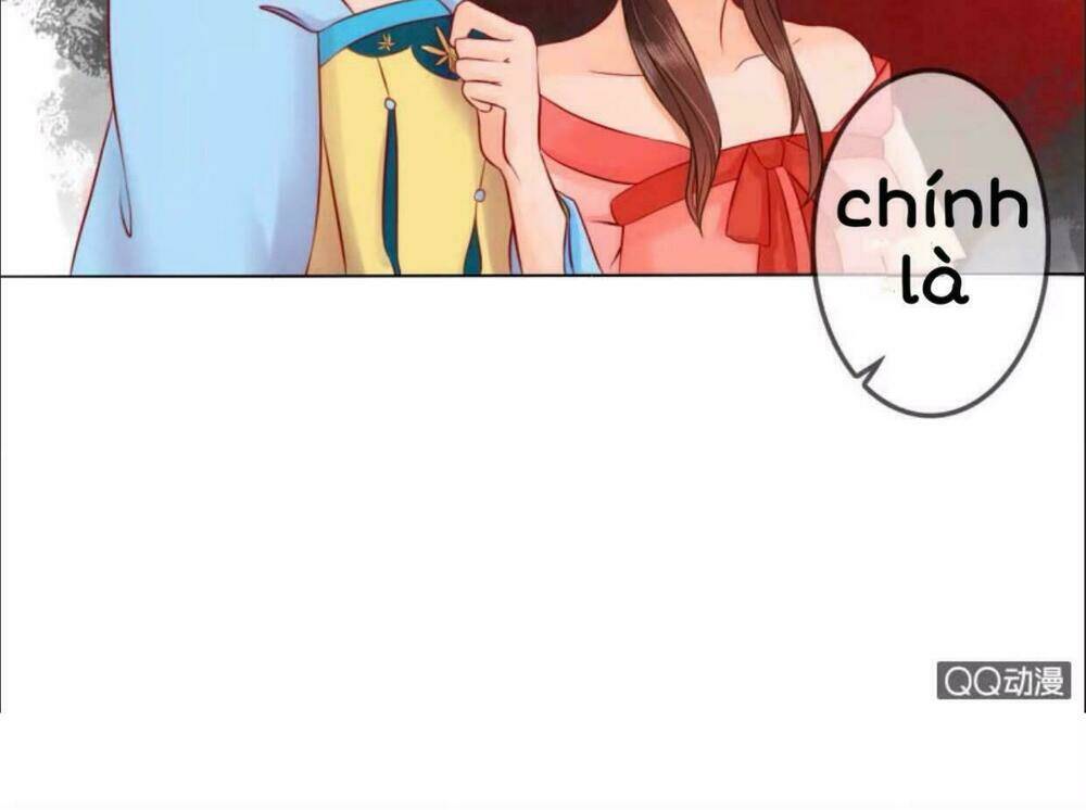 Sủng Phi Của Vương Chapter 16 - Trang 2