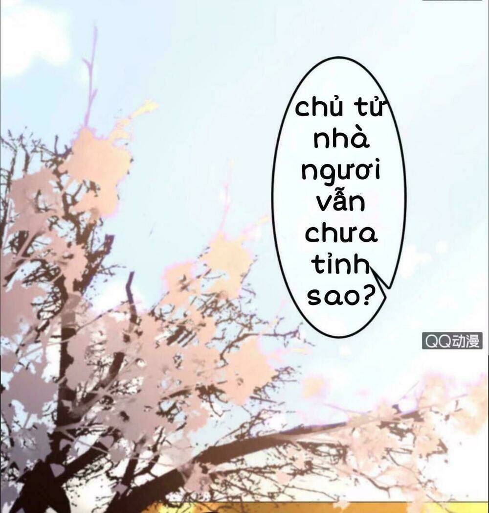 Sủng Phi Của Vương Chapter 29 - Trang 2