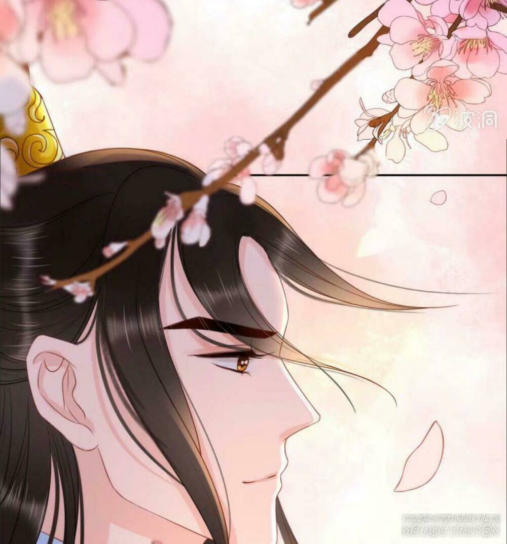 Sủng Phi Của Vương Chapter 41 - Trang 2