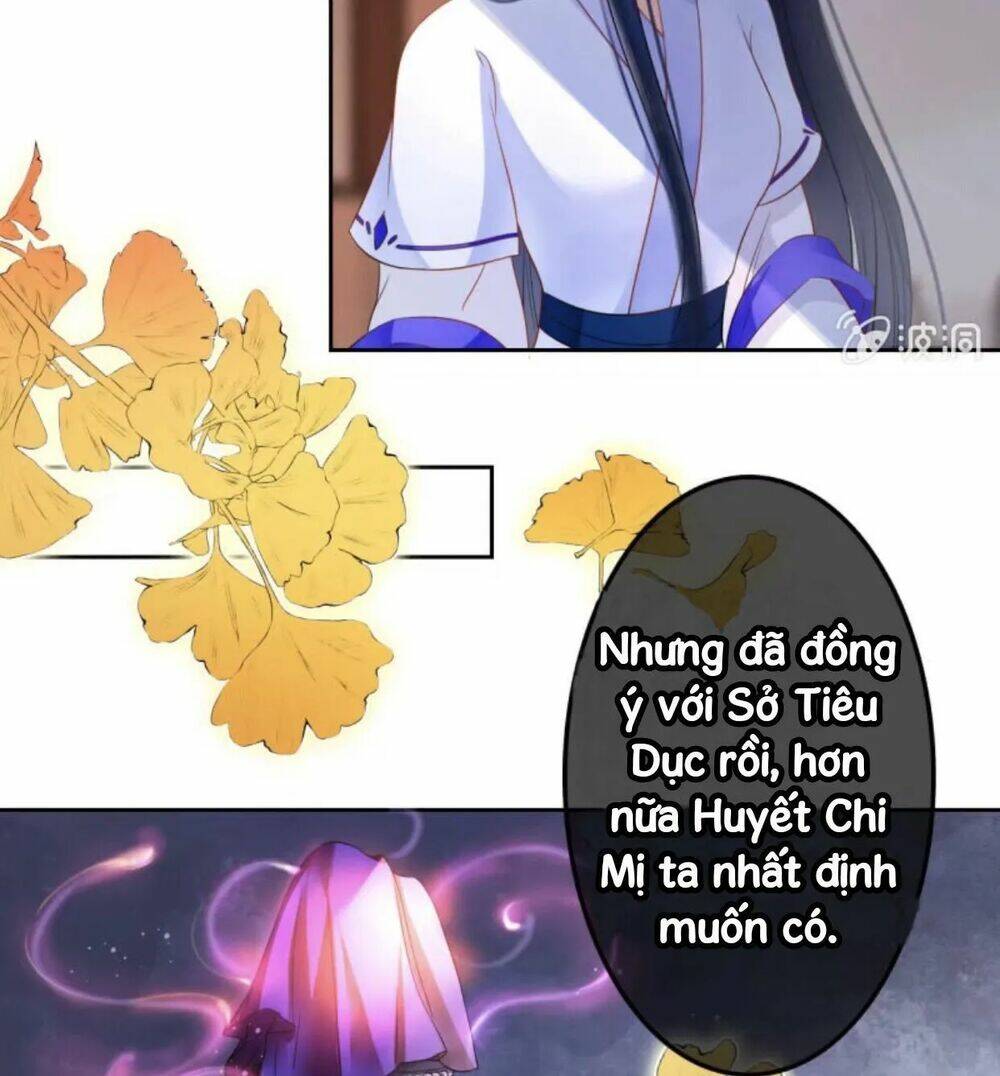 Sủng Phi Của Vương Chapter 44.1 - Trang 2