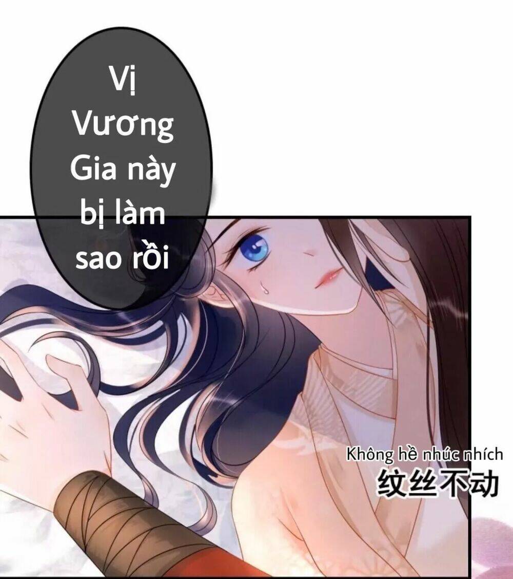 Sủng Phi Của Vương Chapter 56 - Trang 2