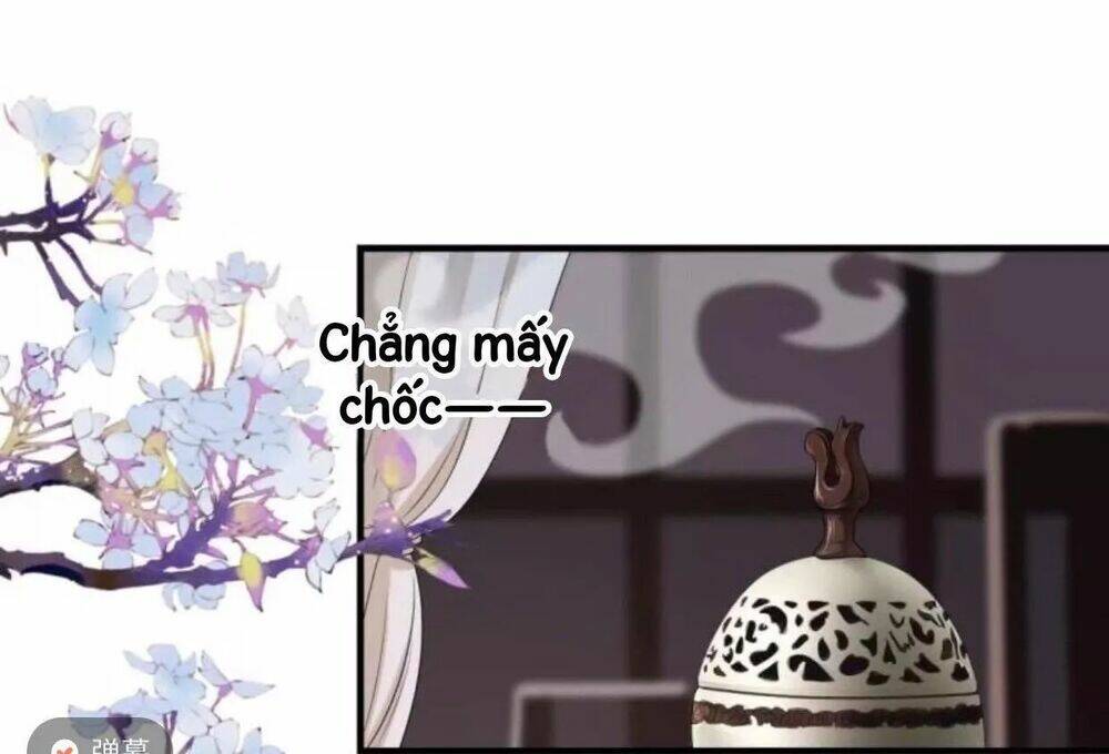 Sủng Phi Của Vương Chapter 59 - Trang 2