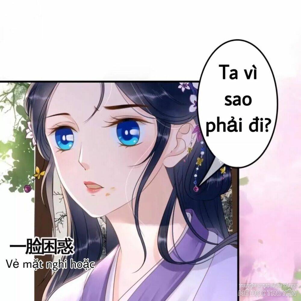 Sủng Phi Của Vương Chapter 78 - Trang 2
