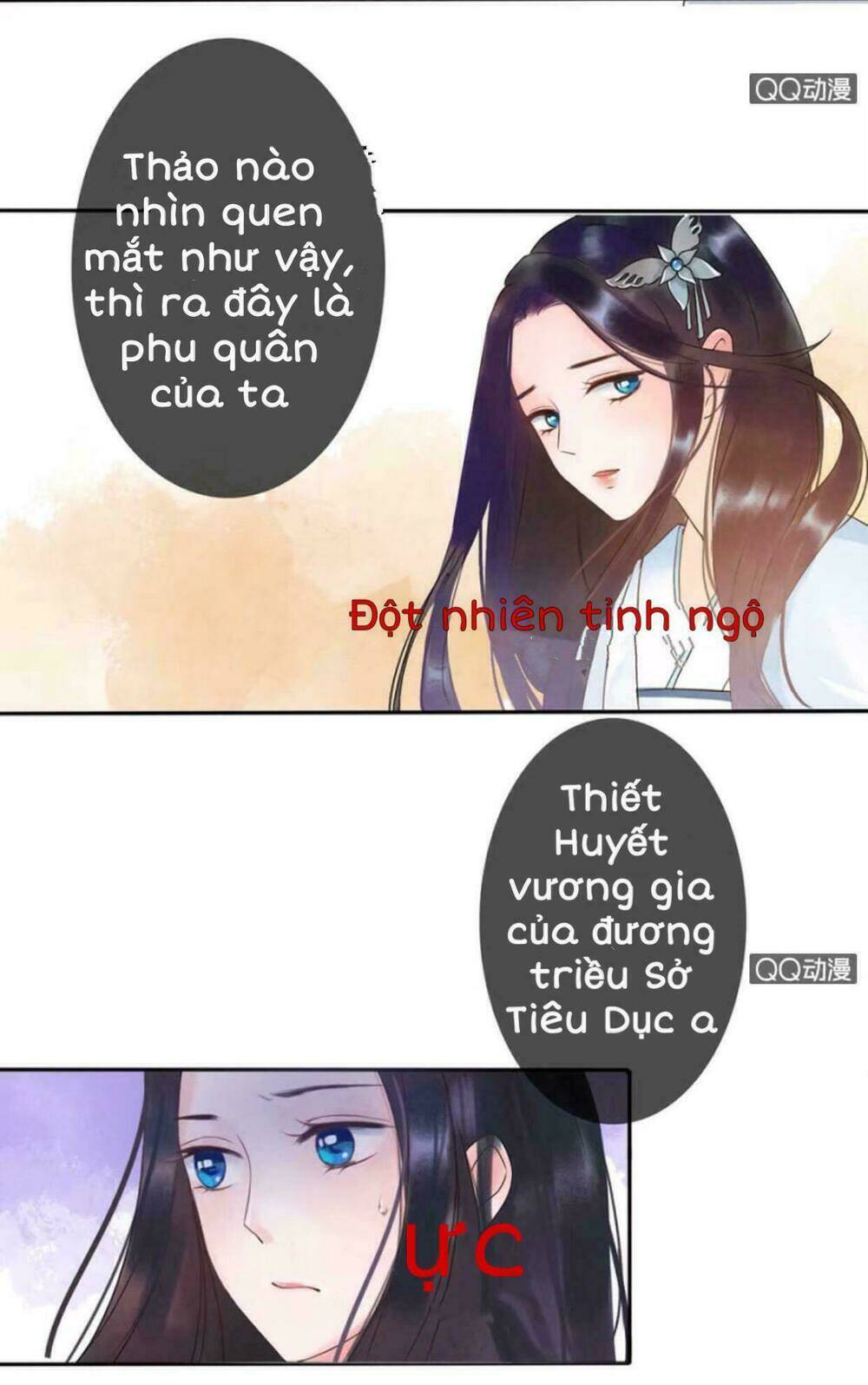 Sủng Phi Của Vương Chapter 9 - Trang 2