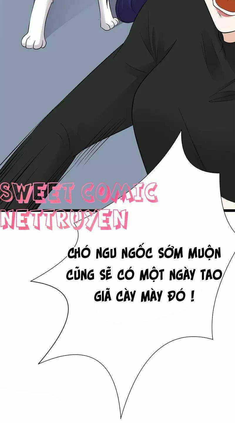 Sủng Thê Thành Nghiện: Lục Thiếu Sủng Từ Đáy Lòng Chapter 16 - Trang 2