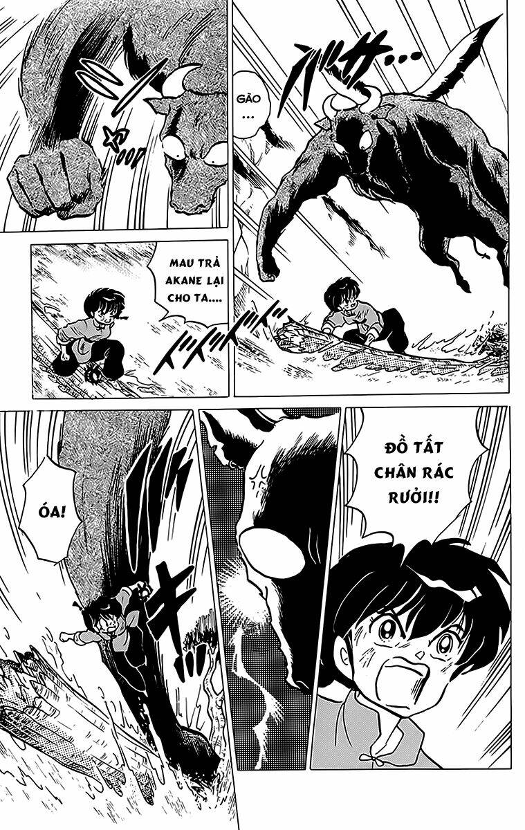 Suối Lời Nguyền Chapter 183 - Trang 2