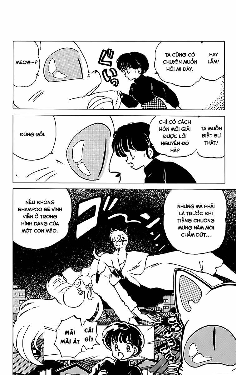 Suối Lời Nguyền Chapter 208 - Trang 2