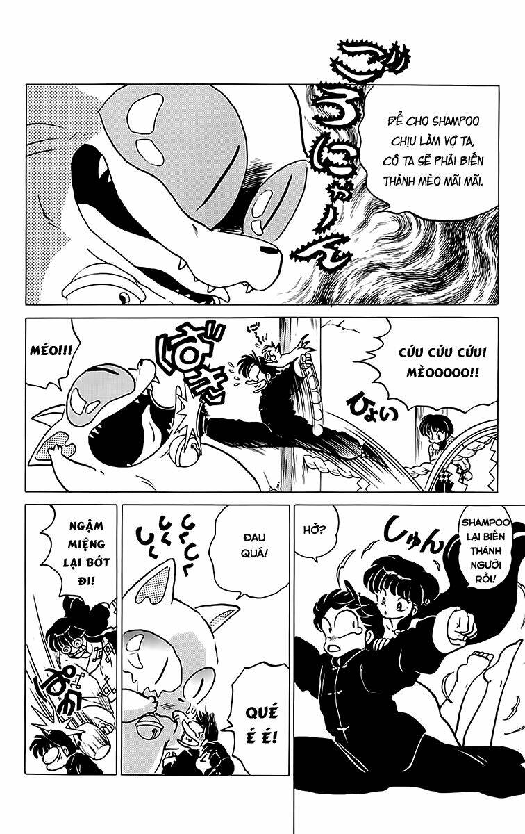 Suối Lời Nguyền Chapter 208 - Trang 2