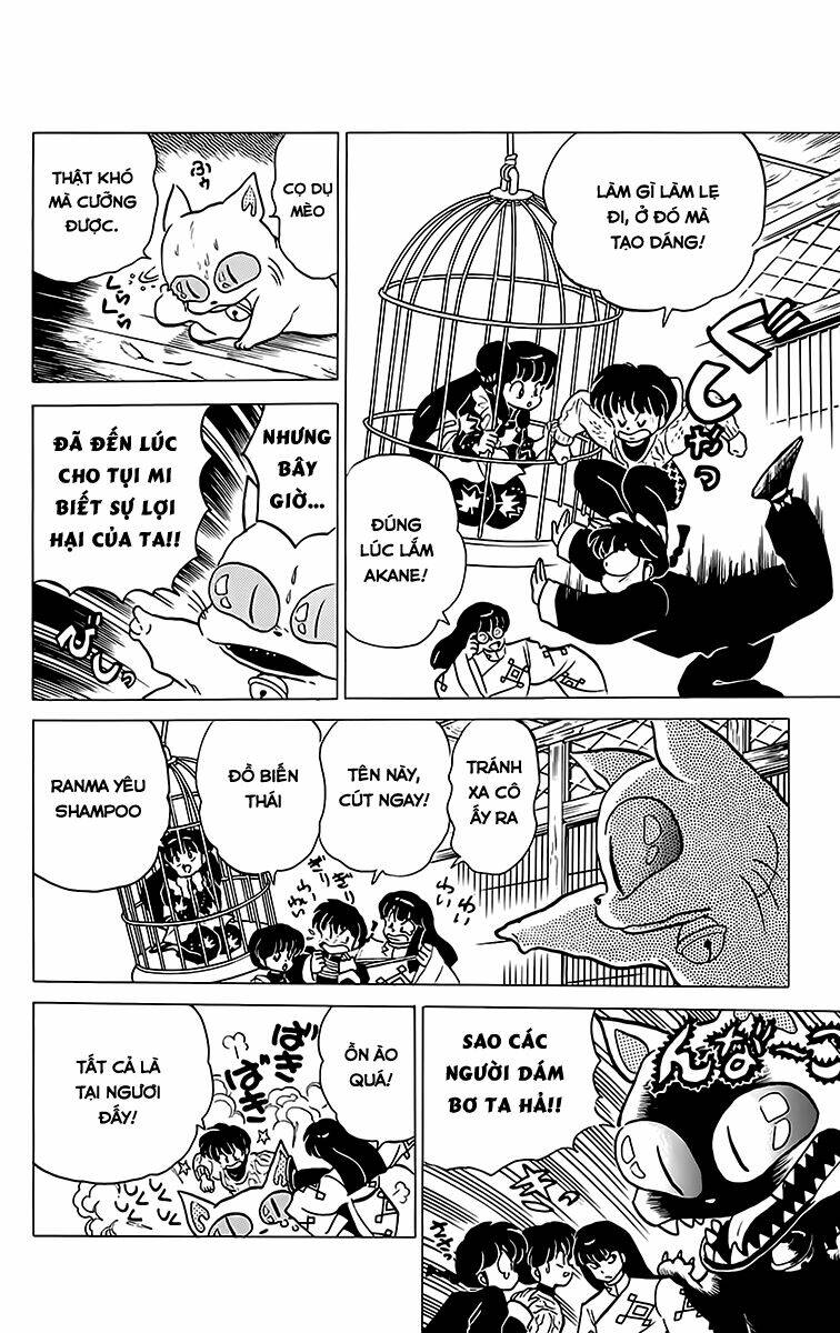 Suối Lời Nguyền Chapter 209 - Trang 2