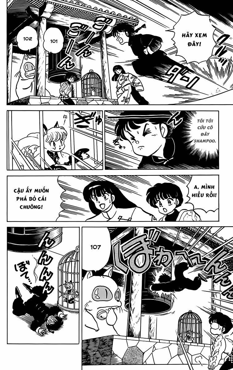 Suối Lời Nguyền Chapter 209 - Trang 2