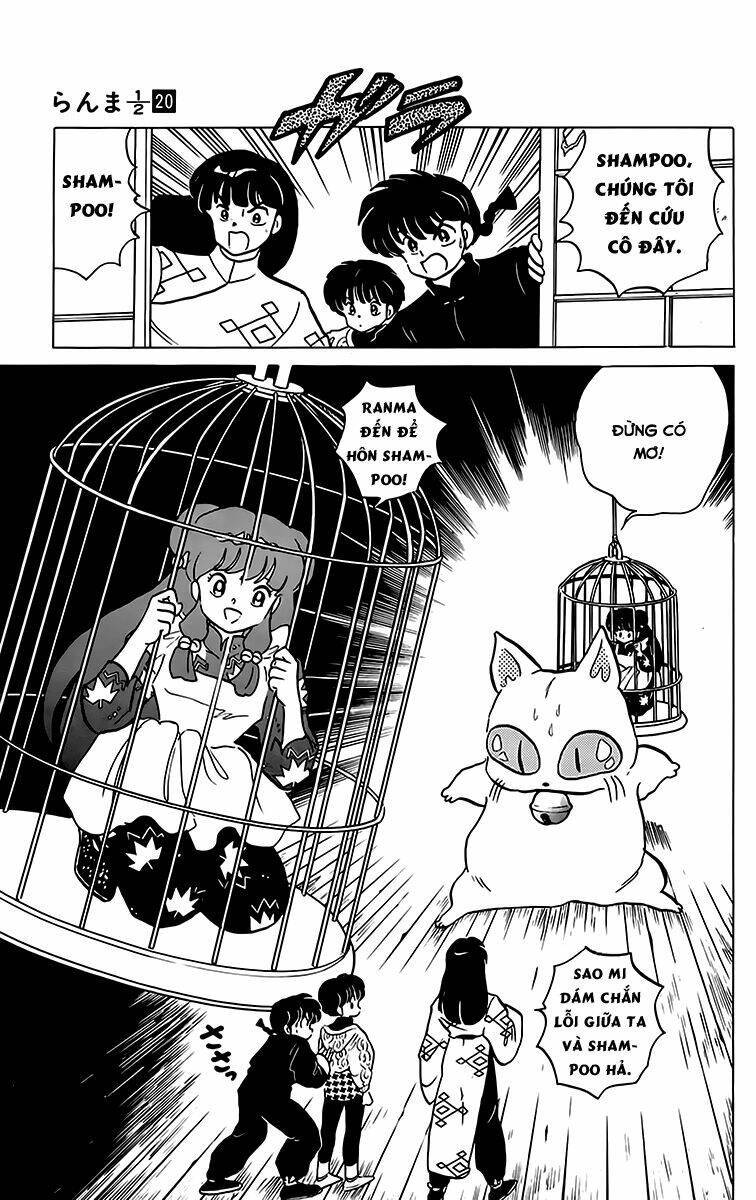 Suối Lời Nguyền Chapter 209 - Trang 2