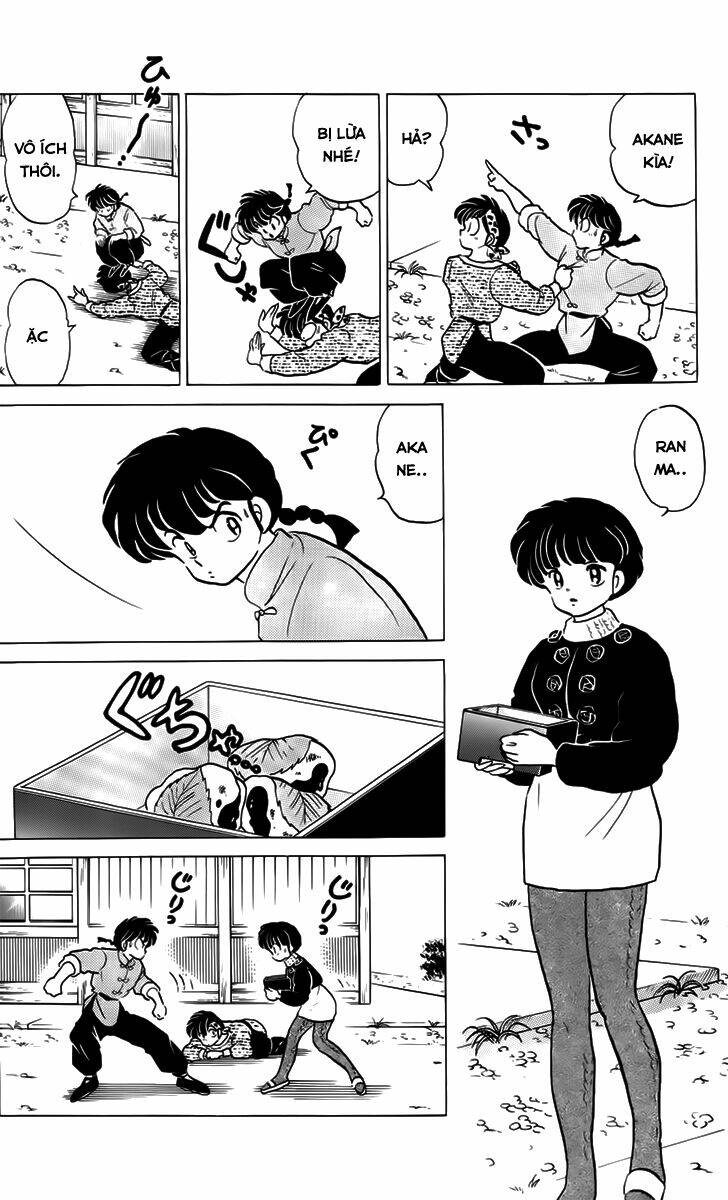 Suối Lời Nguyền Chapter 217 - Trang 2