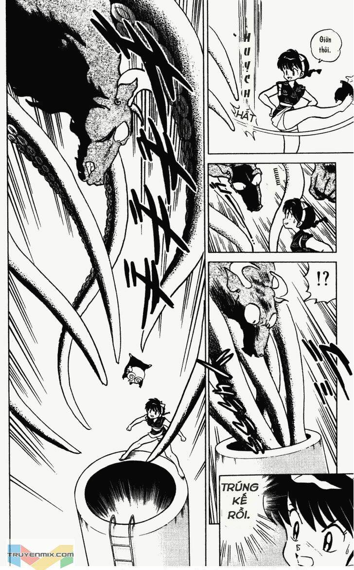 Suối Lời Nguyền Chapter 237 - Trang 2