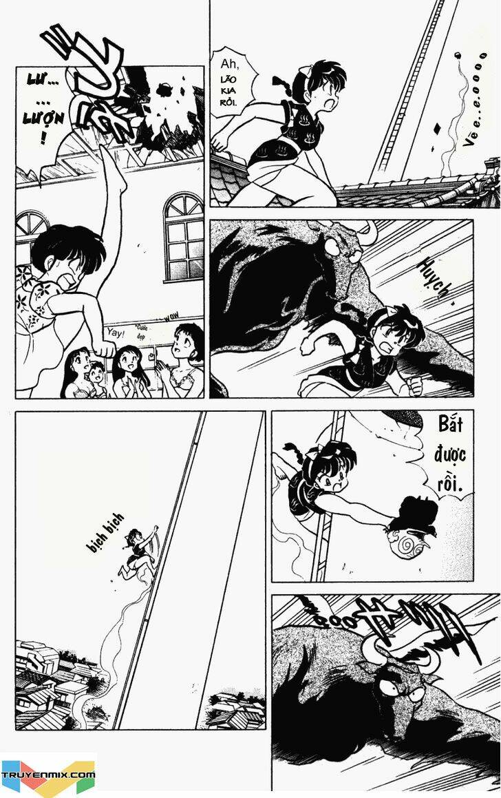 Suối Lời Nguyền Chapter 237 - Trang 2