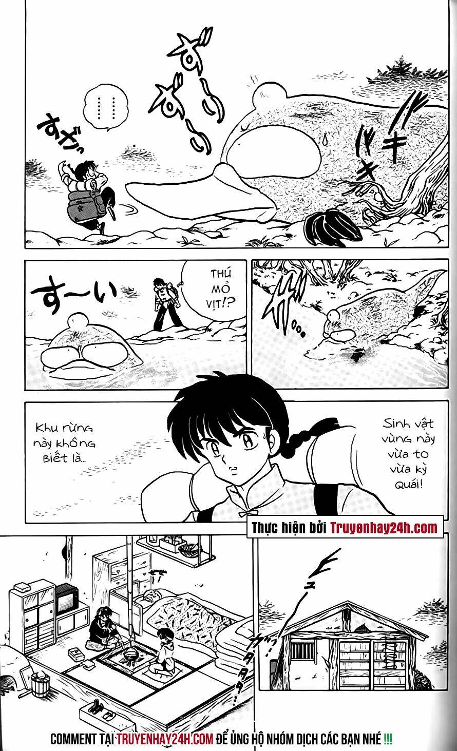 Suối Lời Nguyền Chapter 267 - Trang 2