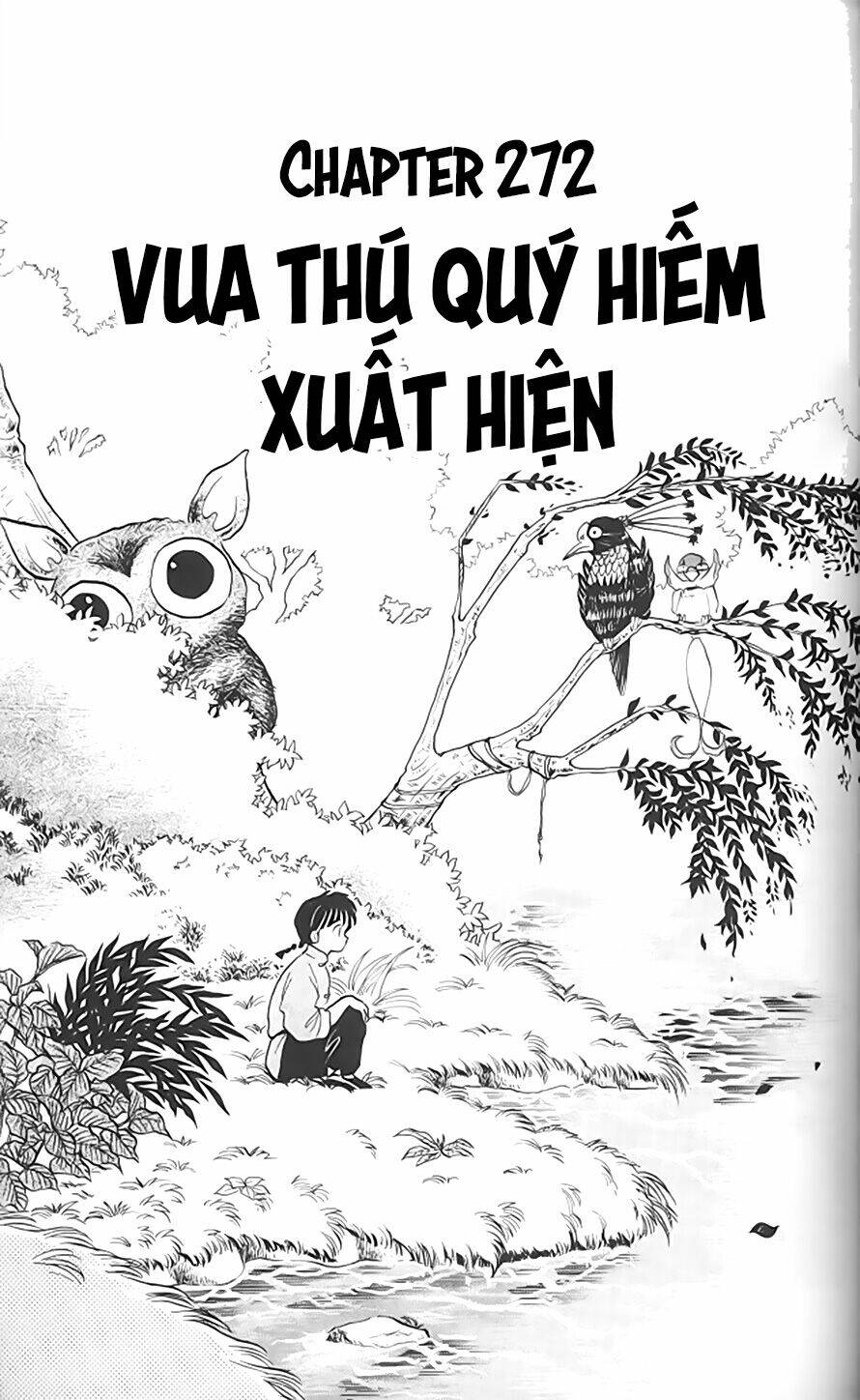 Suối Lời Nguyền Chapter 272 - Trang 2