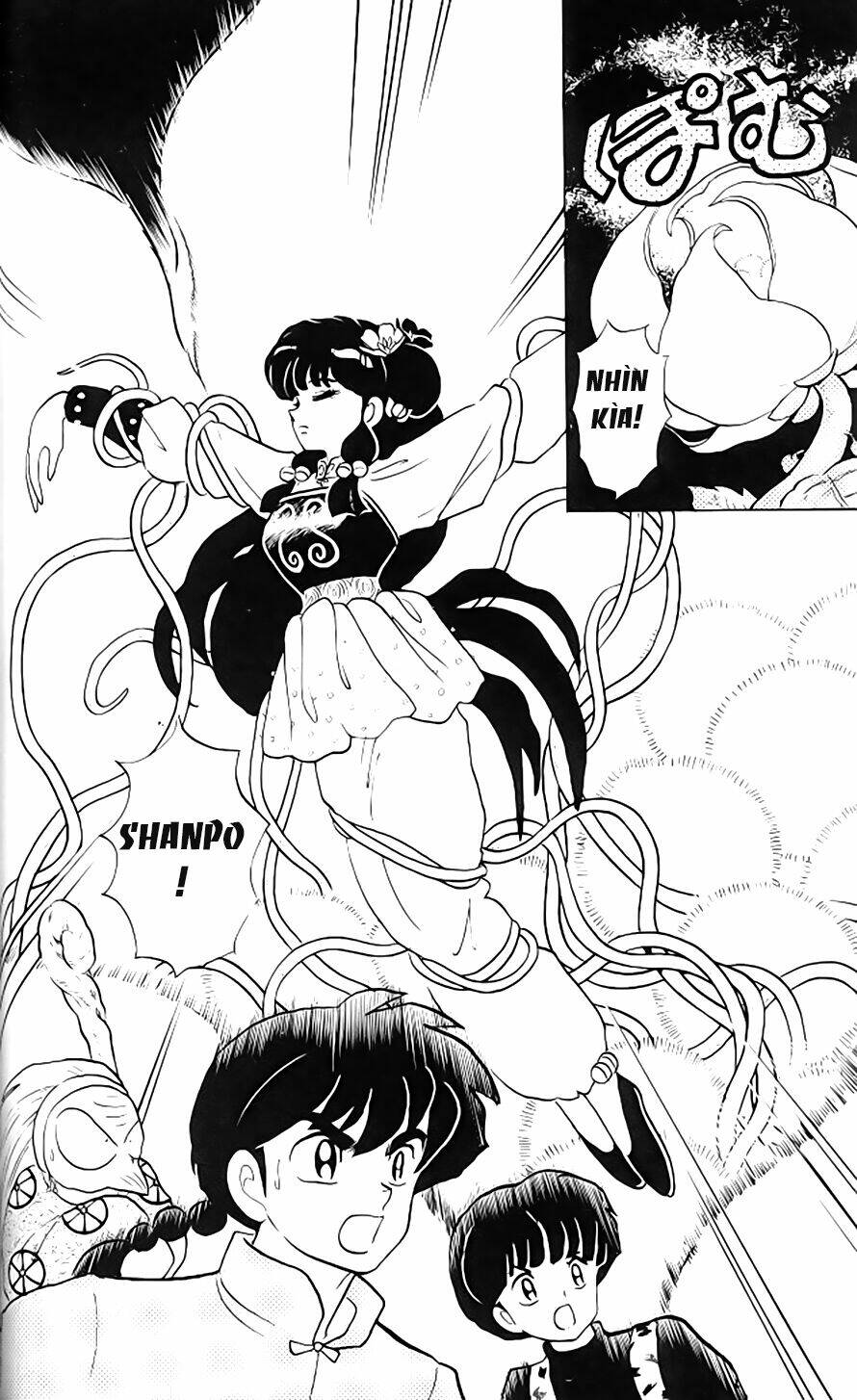 Suối Lời Nguyền Chapter 305 - Trang 2