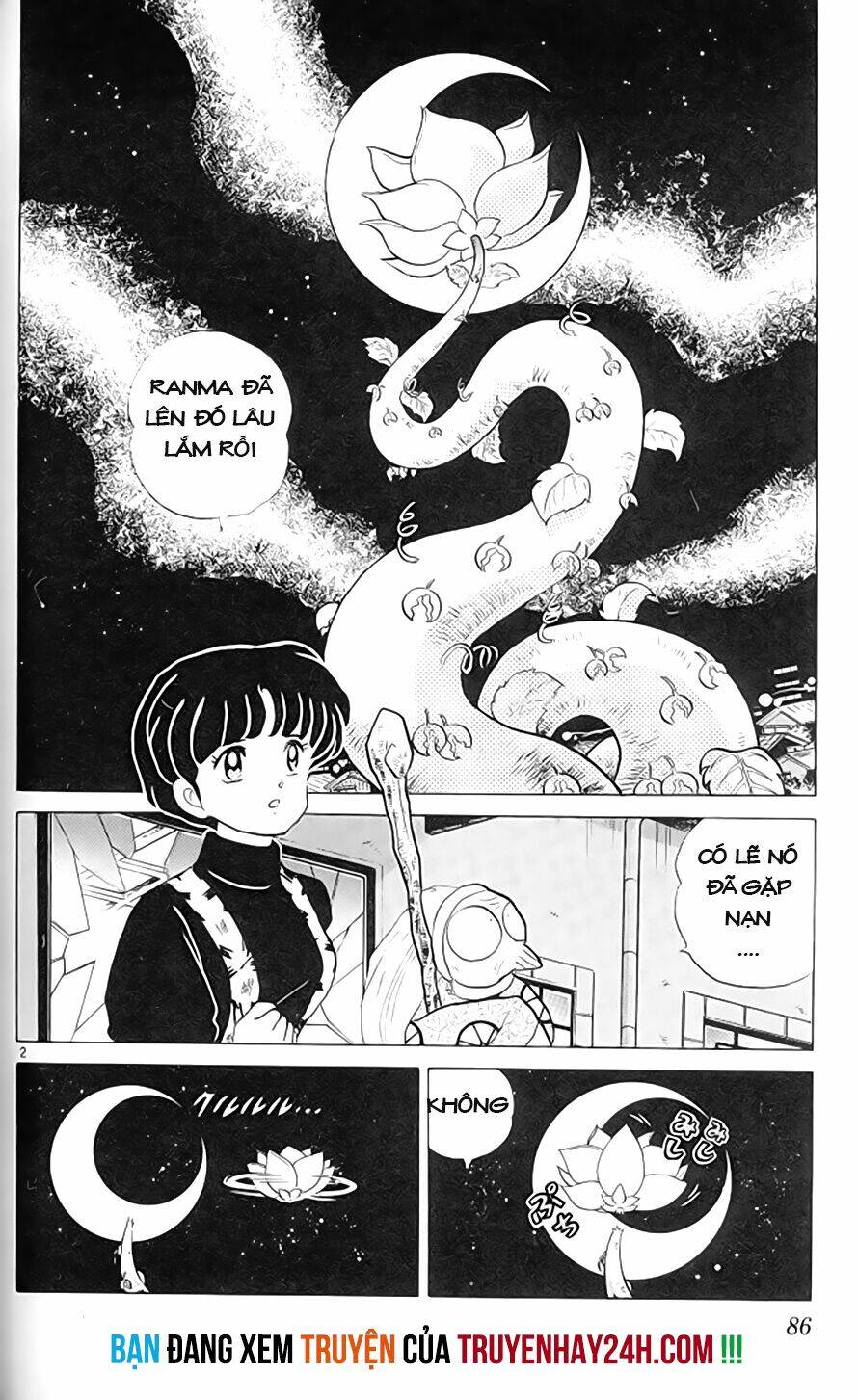 Suối Lời Nguyền Chapter 306 - Trang 2