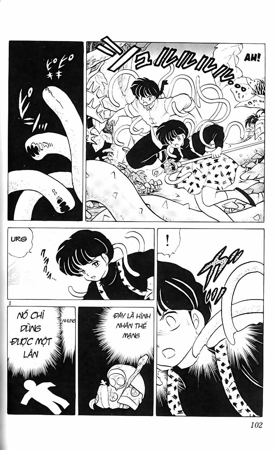 Suối Lời Nguyền Chapter 307 - Trang 2