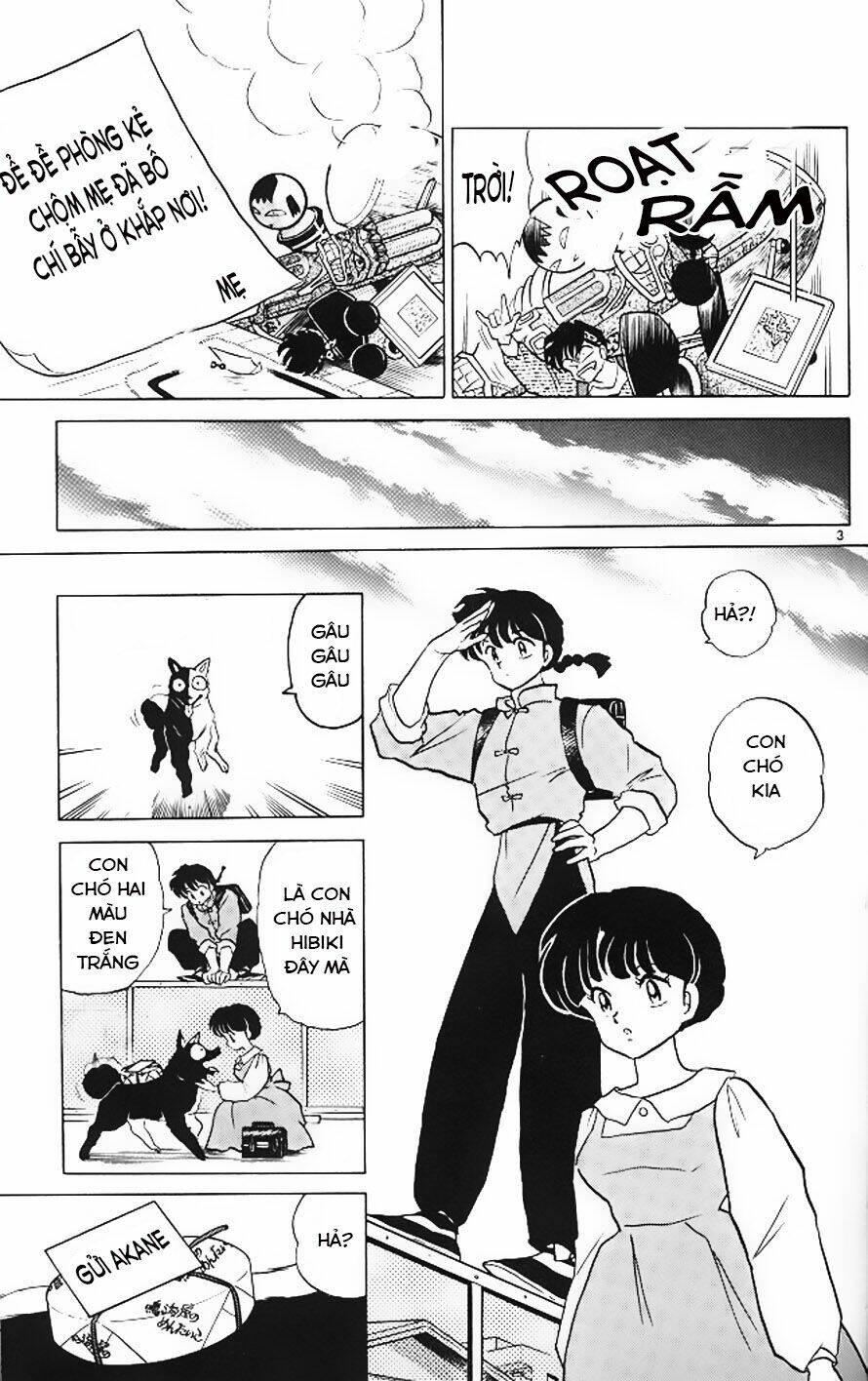 Suối Lời Nguyền Chapter 326 - Trang 2