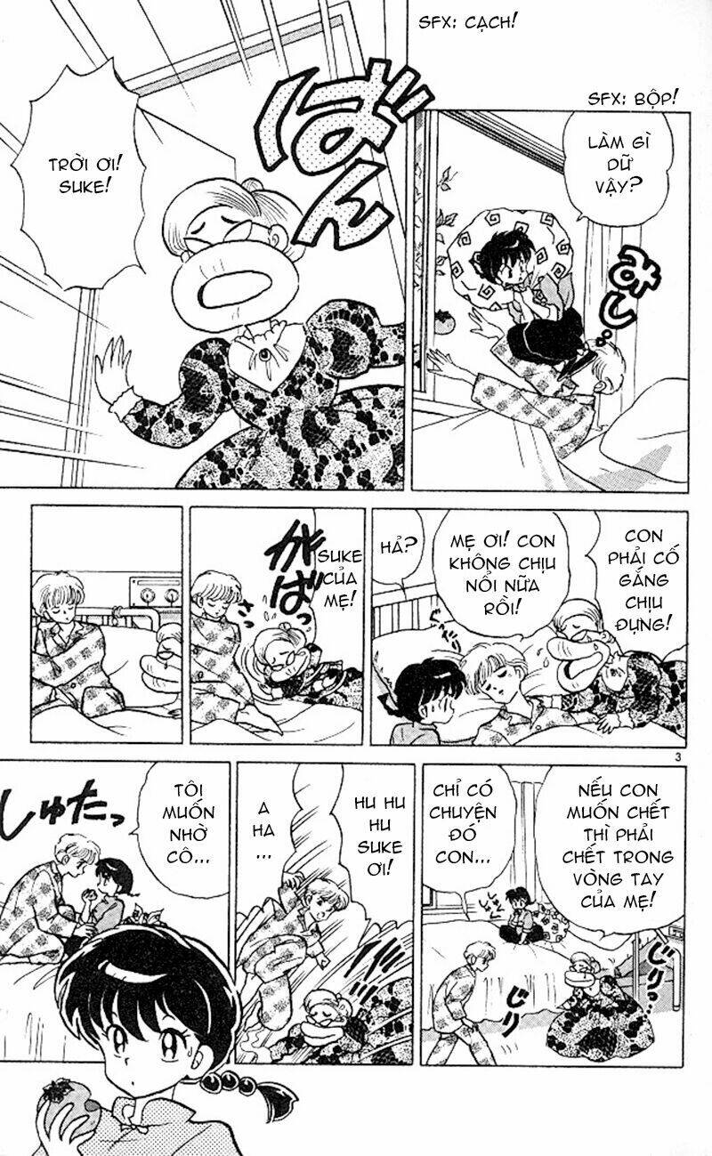 Suối Lời Nguyền Chapter 345 - Trang 2