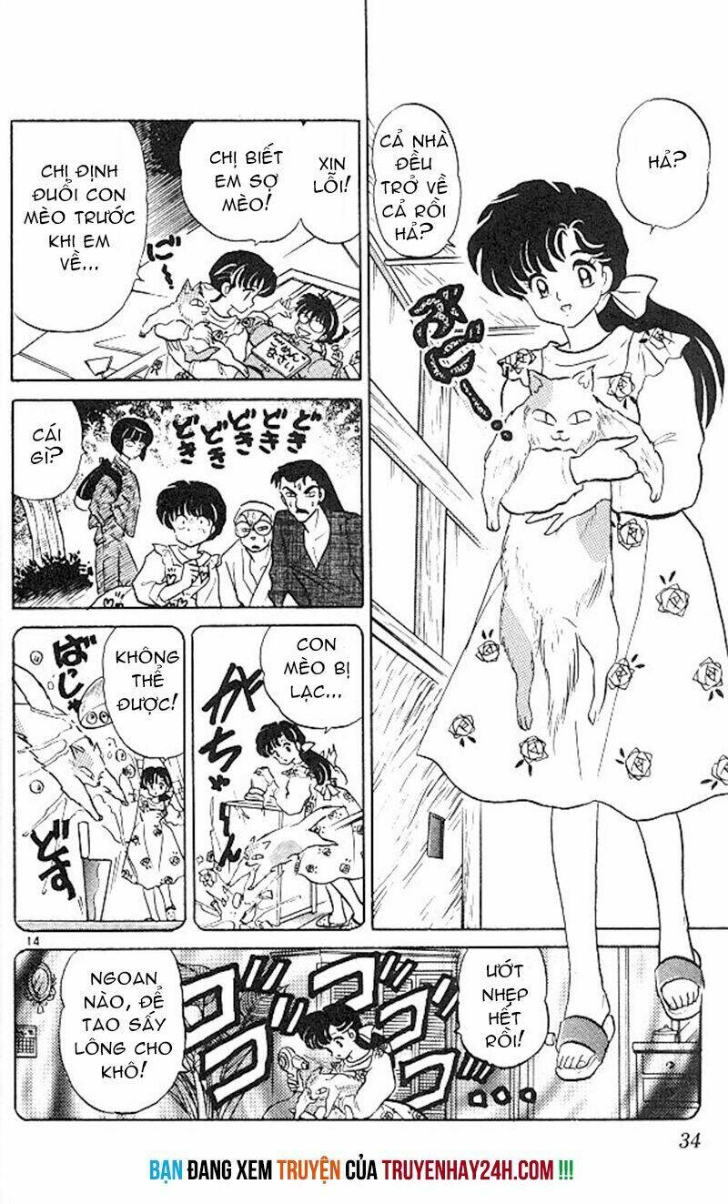 Suối Lời Nguyền Chapter 346 - Trang 2