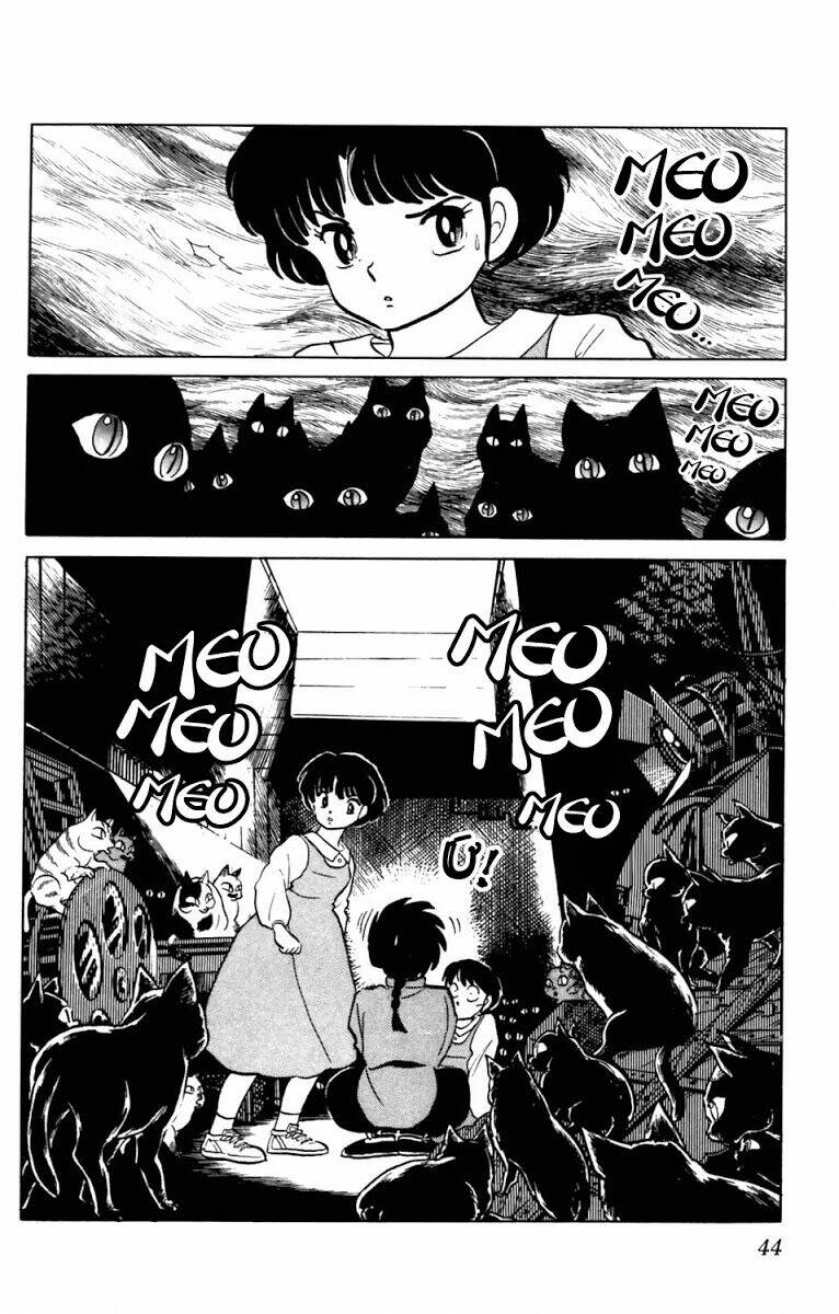 Suối Lời Nguyền Chapter 39 - Trang 2